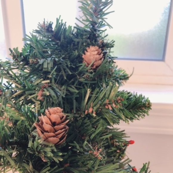 🎄 NEW Christmas Tree in a Pot (12 inch) - Picture 5 of 5